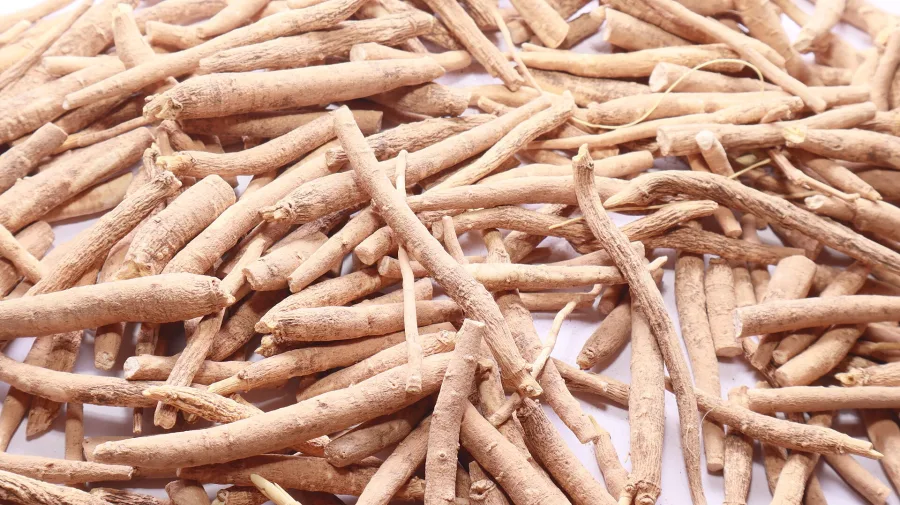 Ashwagandha (Withania somnifera) — root