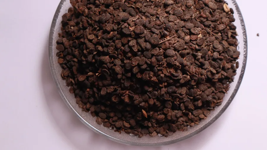Bakuchi (Cullen corylifolium) — seed