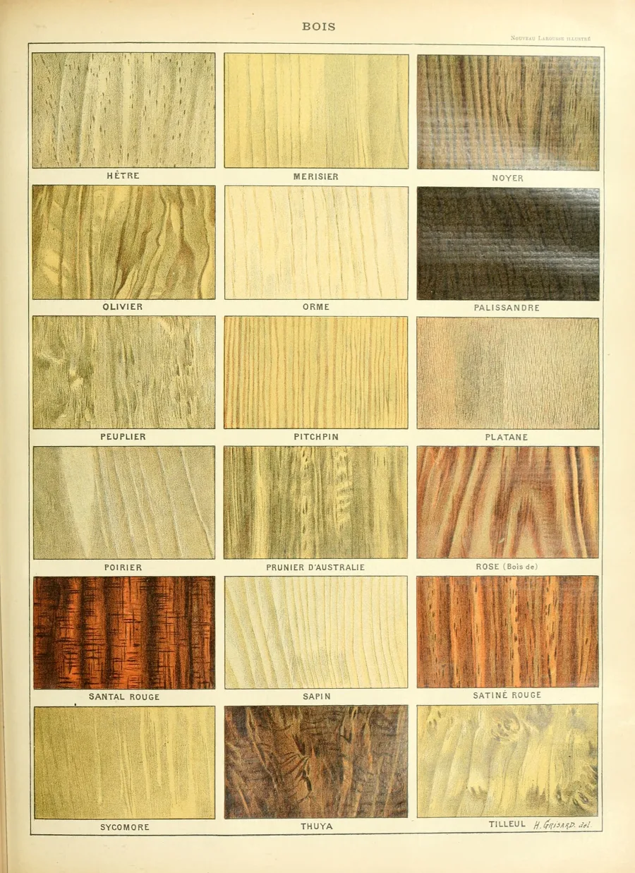 Chandan Lal (Pterocarpus santalinus) — heartwood