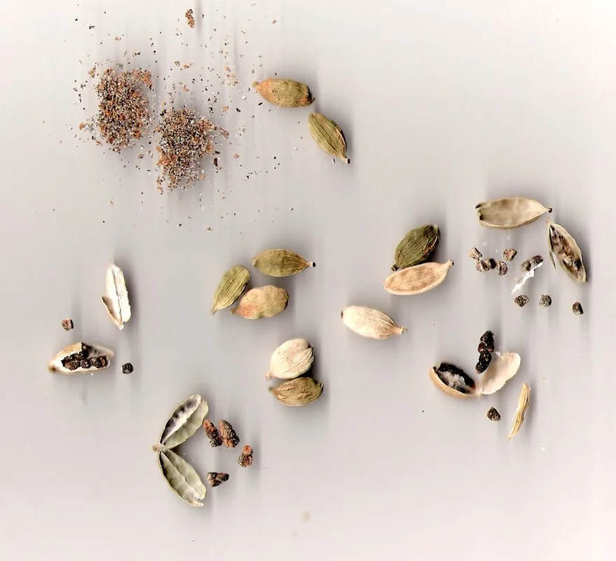 Ela (Elettaria cardamomum) — seed