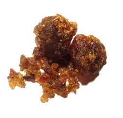 गुग्गुल (Commiphora wightii) — oleo-gum resin