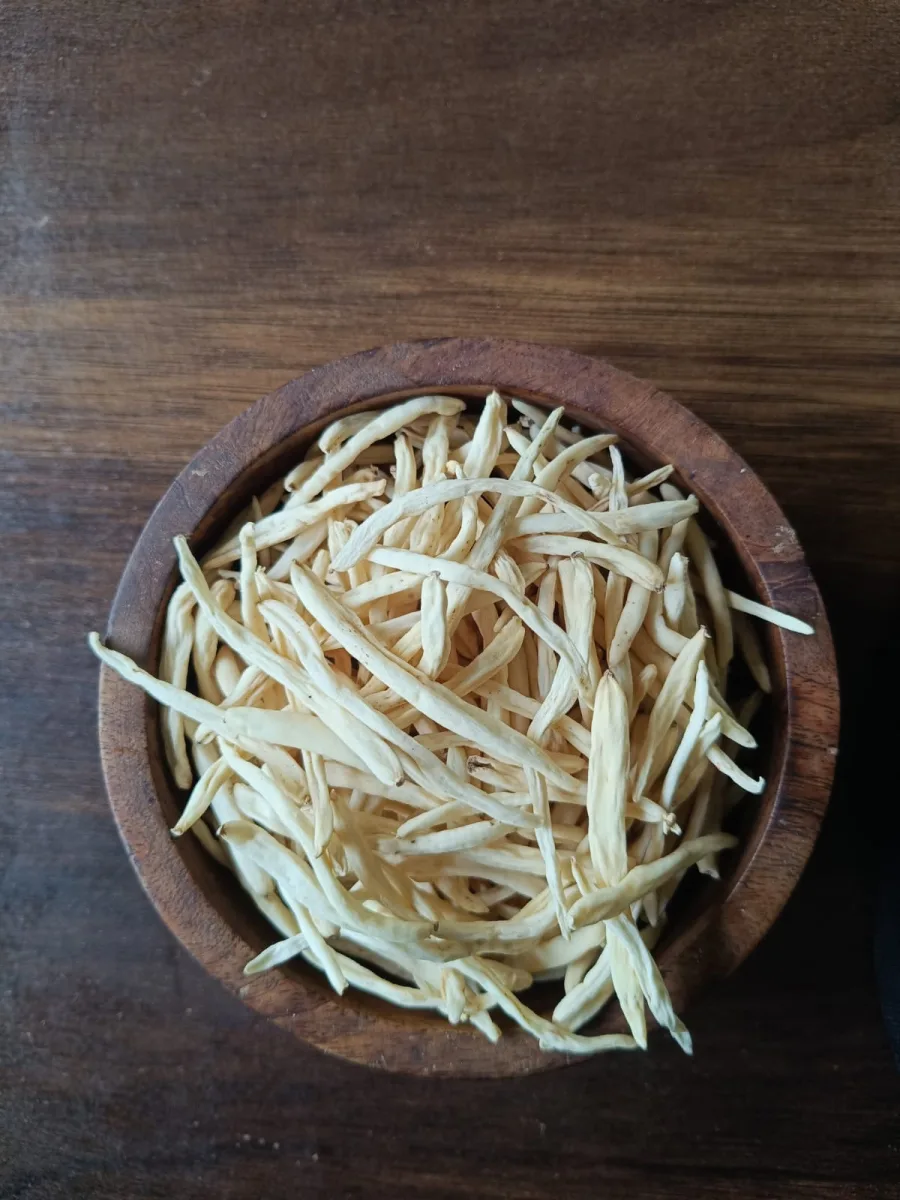 Safed Musli (Chlorophytum borivilianum) — root