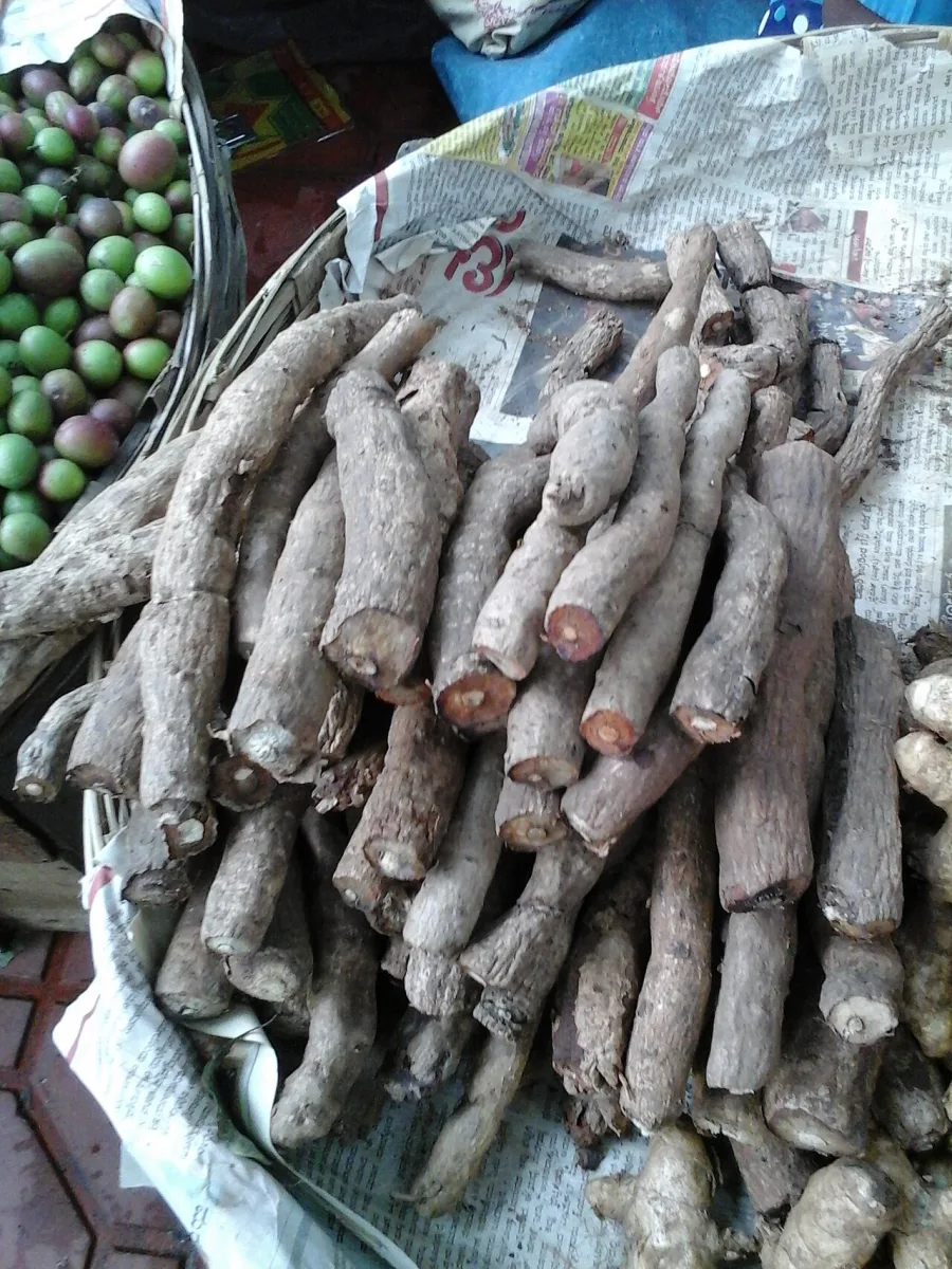 अनंतमूल, सारिवा (Hemidesmus indicus) — root