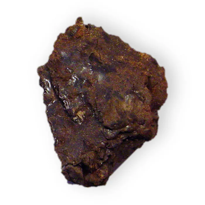 शिलाजीत (Asphaltum punjabianum) — purified exudate