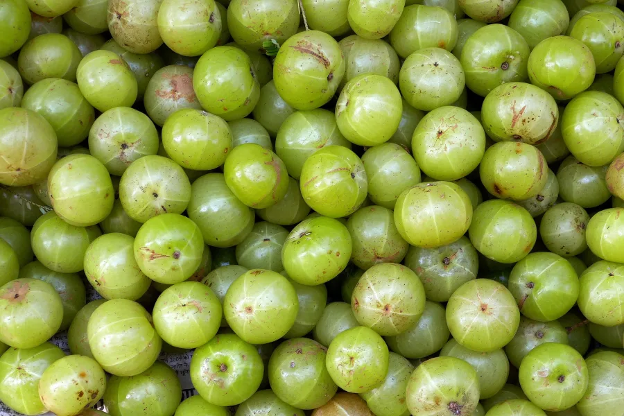 Triphala — fruit