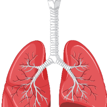 Respiratory