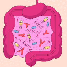 Gut
